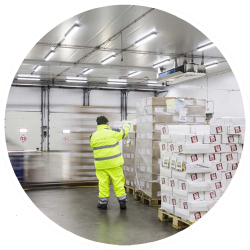 SECTOR
FRIGORÍFICOS